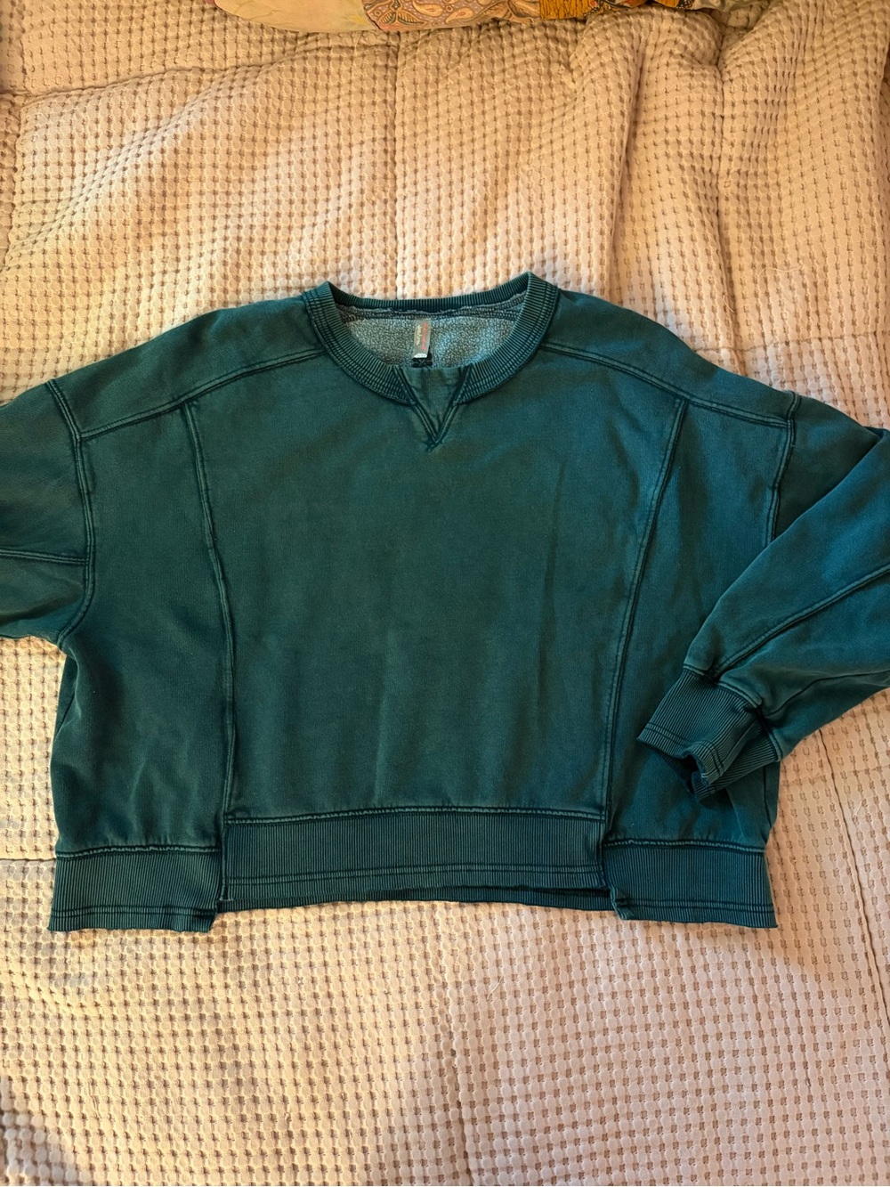 Free people sweatshirt